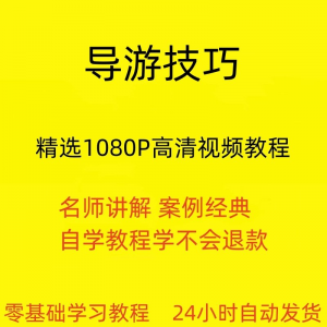 导游技巧视频教程新手自学零基础入门精通教学课程全集
