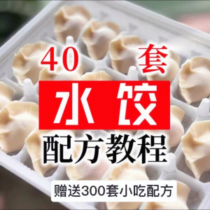 40套水饺技术配方 特制技术视频教程