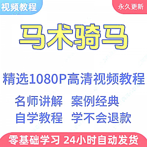 马术骑马视频学习教程新手小白自学零基础入门精通教学课程全集