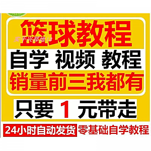 篮球视频教程大全教学训练教学课程基础打篮球技巧街球零基础入门